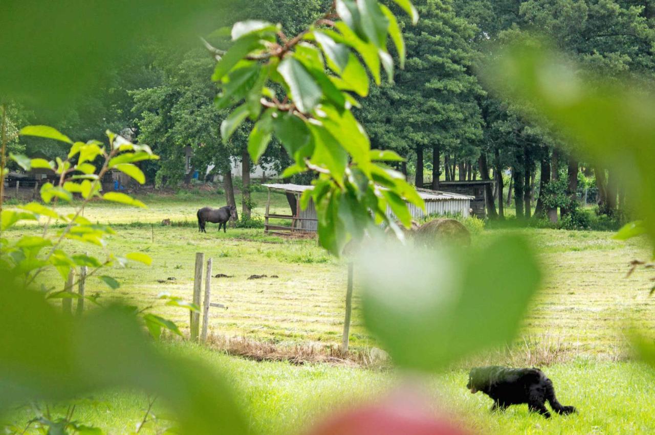 Ferienwohnungen Auf Dem Pommernhof Samtens Kültér fotó